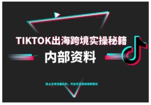 TikTok跨境电商0-1搭建运营,TK出海跨境实操秘籍(10月更新)-宝藏屋创业网