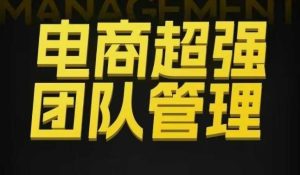 电商超强团队管理,组织绩效,到用人执行,分权合伙-宝藏屋创业网
