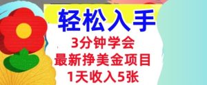 最新挣美金项目,日入5张,3分钟学会,小白轻松入手(长久的被动收入)-宝藏屋创业网