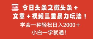 今日头条之微头条＋文章＋视频三重暴力玩法，学会一种轻松日入2000＋，…-宝藏屋创业网