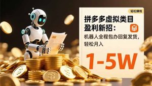 拼多多虚拟类目盈利新招：机器人全程包办回复发货，轻松月入 1-5W-宝藏屋创业网