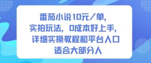 番茄小说10米每单，实拍玩法，0成本好上手，详细实操教程和平台入口适合大部分人-宝藏屋创业网