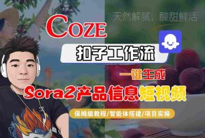 Coze扣子智能体工作流一键生成“SORA2产品信息“短视频,全流程保姆级教学-宝藏屋创业网