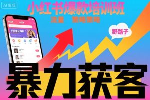小红书爆款培训班,小红书获客野路子流量打法,暴力持续获客-宝藏屋创业网