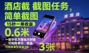 酒店截图任务,简单截图,15秒一单收益0.6米,一部手机不限地方时间,可矩阵单日收益3张【揭秘】-宝藏屋创业网