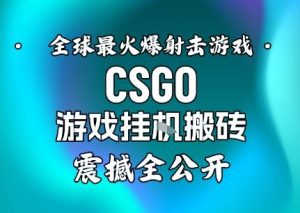 【年底大揭秘】基于全球最火爆的射击CSGO游戏挂G搬砖，日入5张+，震撼公开-宝藏屋创业网