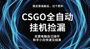 【稳定副业】全球最热门游戏CSGO全自动捡漏,最新玩法,新手小白日入5张+【揭秘】-宝藏屋创业网
