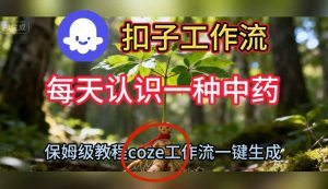 Coze扣子工作流一键生成每天认识一种中药短视频,保姆级搭建教学-宝藏屋创业网