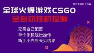 火爆游戏CSGO全自动捡漏,独家最新玩法,单个手机可操作,新手小白日入500+-宝藏屋创业网