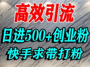 怎么打创业粉？快手求带视角精准引流创业粉，宝妈、学生群体日进500+精准流量-宝藏屋创业网