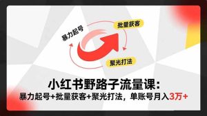 小红书野路子流量课:暴力起号+批量获客+聚光打法,单账号月入3万+-宝藏屋创业网