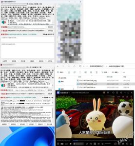 侠客多平台短视频解析去水印工具 V5.1-宝藏屋创业网