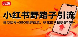 小红书野路子引流,暴力起号+SEO霸屏截流,移花接木日获客100+-宝藏屋创业网