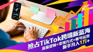 抢占TikTok跨境新蓝海：流量逻辑+变现方式+账号运营，新手月入1万+-宝藏屋创业网