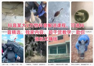 抖音某大V万物科普解说课程，可进抖音精选，独家内容，超干货教学，助你涨粉又賺钱-宝藏屋创业网