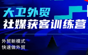 大卫老师·外贸社媒获客独家训练营(更新)-宝藏屋创业网