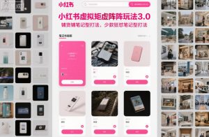 小红书虚拟矩阵玩法3.0,铺货铺笔记型打法,少款狂怼笔记型打法-宝藏屋创业网