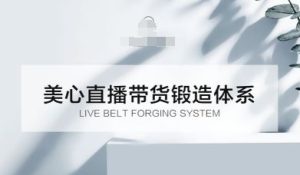 直播带货锻造体系课,5G时代美心一站式帮你开启直播带货之路-宝藏屋创业网