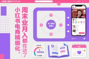 小红书电商精细化运营全流程，周末副业月入1W+，全套方法都在这了-宝藏屋创业网