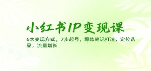 小红书IP变现课:6大变现方式,7步起号,爆款笔记打造,定位选品,流量增长-宝藏屋创业网