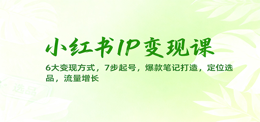 小红书IP变现课：6大变现方式，7步起号，爆款笔记打造，定位选品，流量增长-宝藏屋创业网