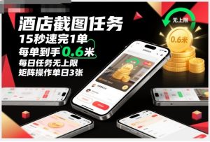 酒店截图任务，15秒速完1单，每单到手0.6米，每日任务无上限，全网首发玩法，矩阵操作单日3张【揭秘】-宝藏屋创业网