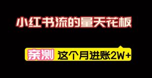 小红书的这个赛道，简直就是流量天花板，我这个月已经赚2W+（附带教程）-宝藏屋创业网