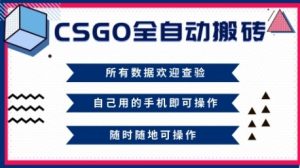 CSGO全自动搬砖，年底钱回家好项目，当天可拿到结果，新手小白轻松月入1W+【揭秘】-宝藏屋创业网