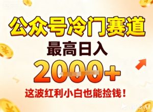 公众号冷门赛道，最高日入1k+，这波红利小白也能捡钱！-宝藏屋创业网