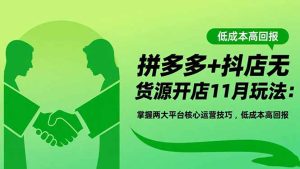 拼多多+抖店无货源开店11月玩法:掌握两大平台核心运营技巧,低成本高回报-宝藏屋创业网