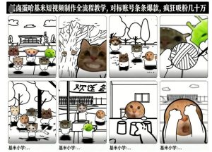 卤蛋哈基米短视频制作全流程教学，条条爆款，疯狂吸粉几十万-宝藏屋创业网