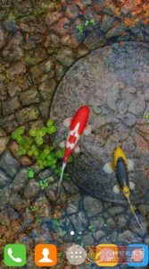 Water Garden Live Wallpaper 锦鲤3D动态壁纸2.05专业版-宝藏屋创业网