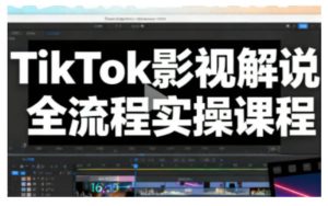 TikTok影视解说全流程实操,手把手教你打造TK爆款解说视频-宝藏屋创业网