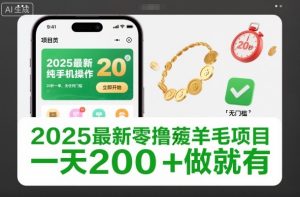 2025最新零撸薅羊毛项目,纯手机操作,20秒一单,无任何门槛,一天200+做就有【揭秘】-宝藏屋创业网