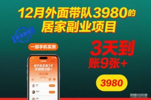 12月外面带队3980的居家副业项目,一部手机实测3天到账9张+,首发教程【揭秘】-宝藏屋创业网