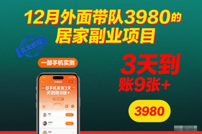 12月外面带队3980的居家副业项目，一部手机实测3天到账9张+，首发教程【揭秘】-宝藏屋创业网