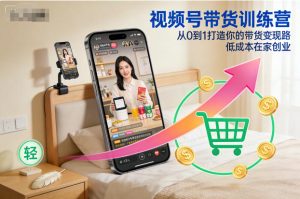 视频号带货训练营,从0到1打造你的带货变现路,低成本在家创业-宝藏屋创业网