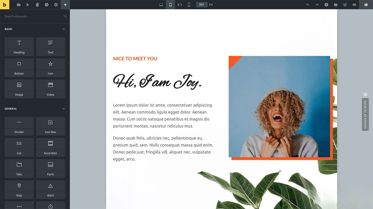 WordPress主题Bricks v1.9 破解版-宝藏屋创业网