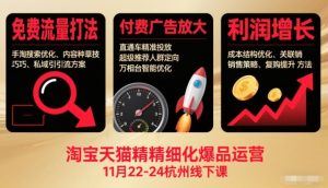 淘宝天猫精细化爆品运营11月22-24杭州线下课,免费流量打法+付费广告放大+利润增长(音频+文档)-宝藏屋创业网