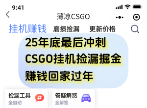 用CSGO游戏挂机捡漏掘金赚钱掘金，一部手机轻松日入500+-宝藏屋创业网