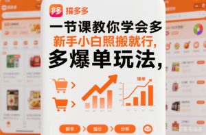 一节课教你学会拼多多爆单玩法，新手小白照搬就行-宝藏屋创业网