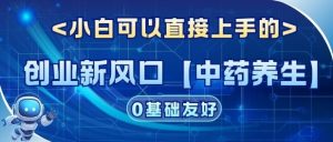 创业新风口【中药养生】赛道，单号月入1W+，小白可做，轻松复制-宝藏屋创业网