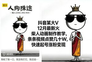 抖音某大V12月最新火柴人动画制作教学,条条视频点赞几十W,快速起号涨粉变现-宝藏屋创业网