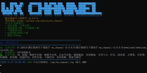 资源网软件库：微信视频号下载助手wx_channel v251226-宝藏屋创业网