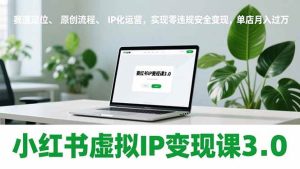 小红书虚拟IP变现课3.0,赛道定位、原创流程、IP化运营,实现零违规安全变现,单店月入过万-宝藏屋创业网