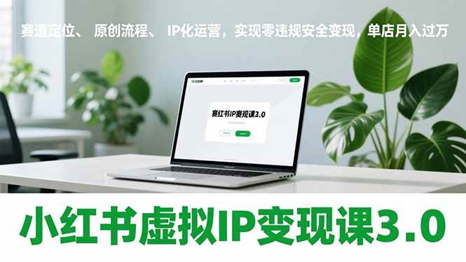 小红书虚拟IP变现课3.0,赛道定位、原创流程、IP化运营,实现零违规安全变现,单店月入过万-宝藏屋创业网