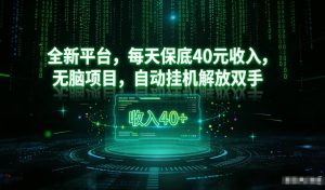 最新看广平台，每天保底30-4米，无脑项目，自动挂G解放双手【揭秘】-宝藏屋创业网