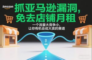 抓亚马逊漏洞,免去店铺月租,一个流量大竞争小,让你有机会成大卖的赛道-宝藏屋创业网