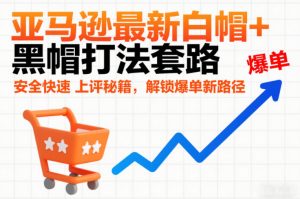 亚马逊最新白帽+黑帽打法套路,安全快速上评秘籍,解锁爆单新路径-宝藏屋创业网