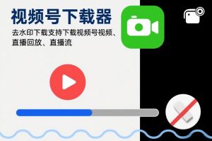资源网软件库分享:视频号下载器,去水印下载,支持下载视频号视频、直播回放、直播流-宝藏屋创业网